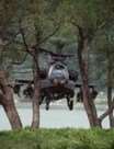 AH-64Dװֱ(¼Ƭ)