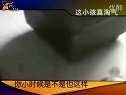 河南电视台移动电视生活播报栏目