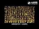 老湿第七部:牛人爆笑吐槽国内名导烂片《伤不起的中国大片》