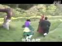 搞笑西游之:唐僧与红颜