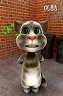 Talking Tom ·߼һǮ߹ۿ