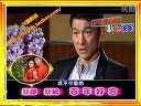 最新版会声会影X2X3X4真人明星新婚祝福婚礼片头模板