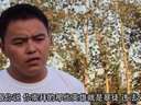 青年!国不是这么爱的