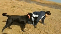 ڶŵǧ߹ۿ