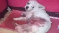 Ůӿ˹Ⱥβ߹ۿ