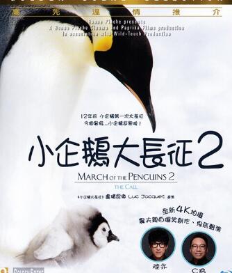 С2