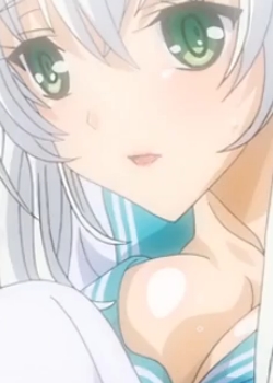 ȻŮȰǥ󥱥~ THE ANIMATION Ѹ