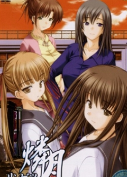  󥲥 THE ANIMATION1Ѹ