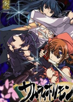 饤ۥ THE ANIMATIONѸ