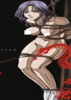  THE ANIMATION1