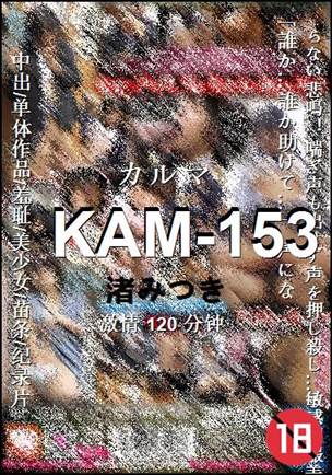 KAM-153