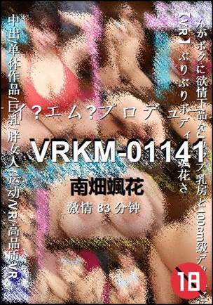 VRKM-01141
