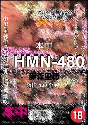 HMN-480