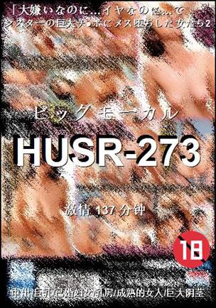 HUSR-273