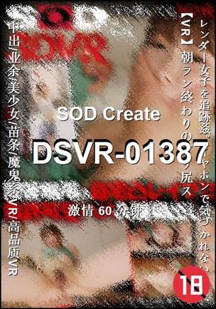 DSVR-01387