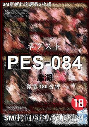 PES-084