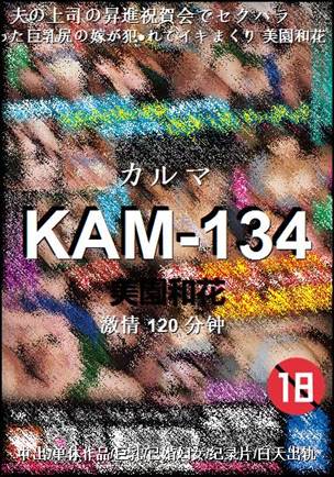 KAM-134