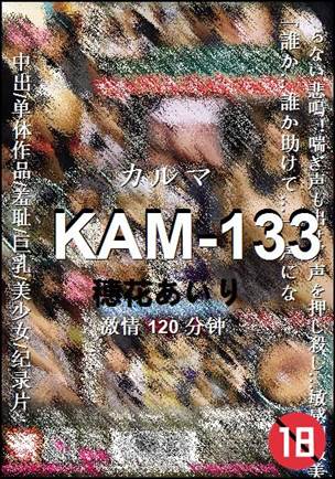 KAM-133