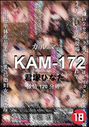 KAM-172