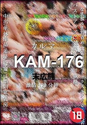 KAM-176