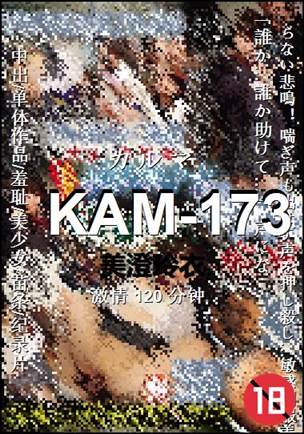 KAM-173