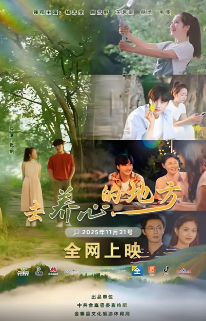 去养心的地方迅雷下载