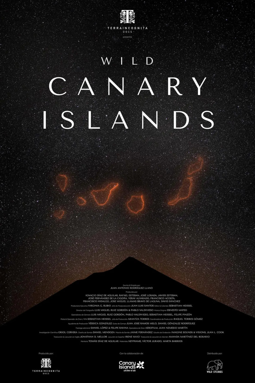 加那利群岛迅雷下载