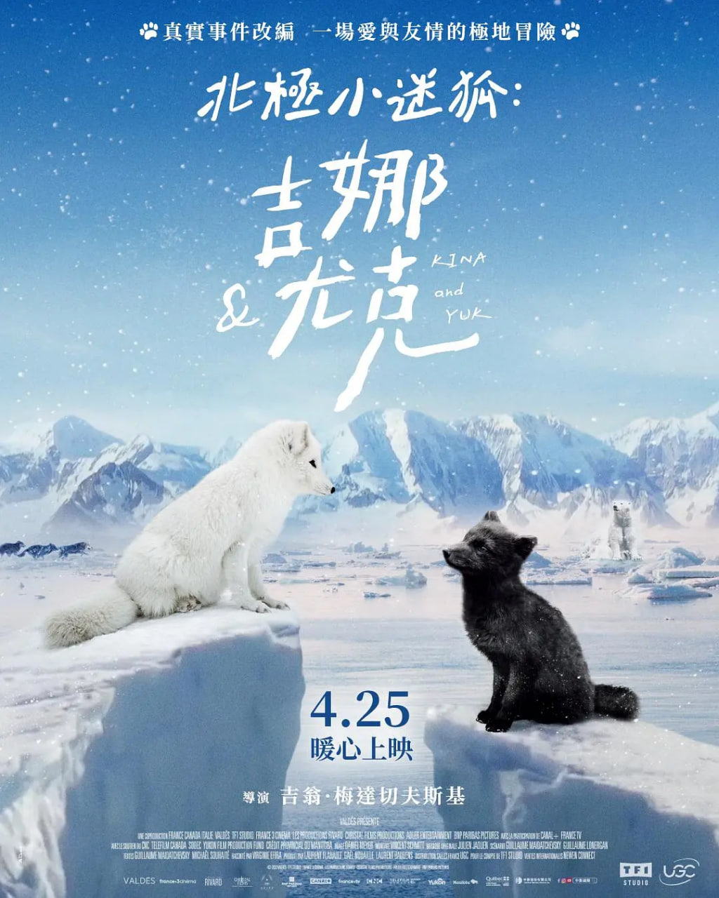 ����С�Ժ�:���Ⱥ��ȿ�Ѹ������