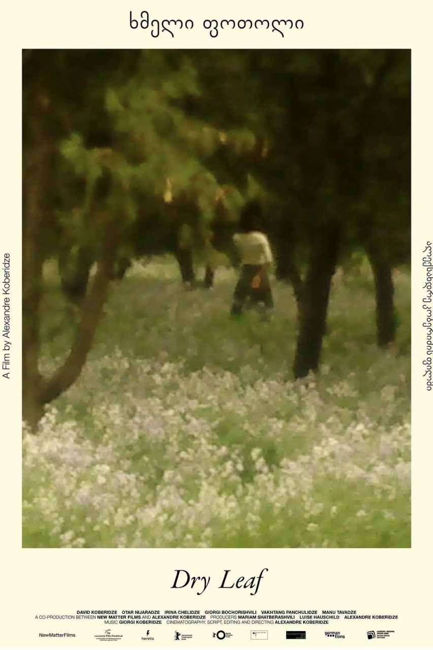 落叶球迅雷下载