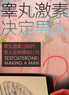 غ輤ؾѸ