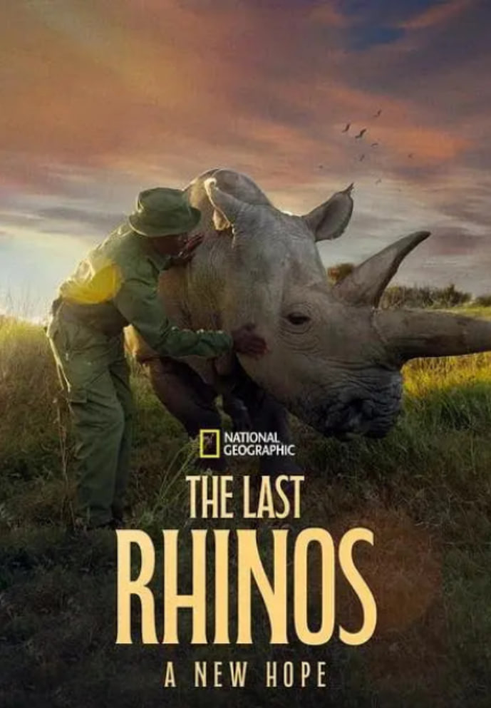 最后的犀牛:新希望迅雷下载