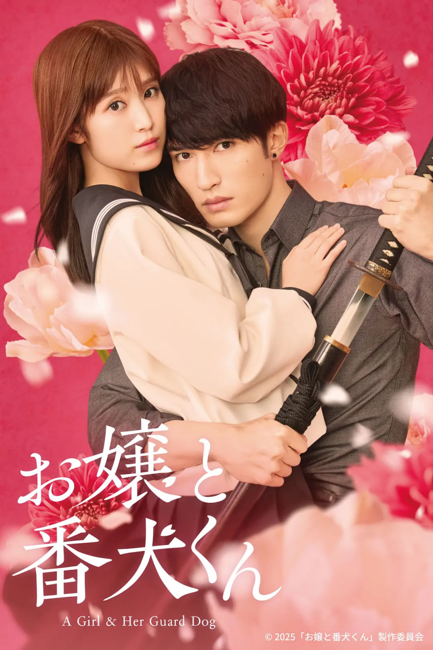 大小姐和看门犬迅雷下载