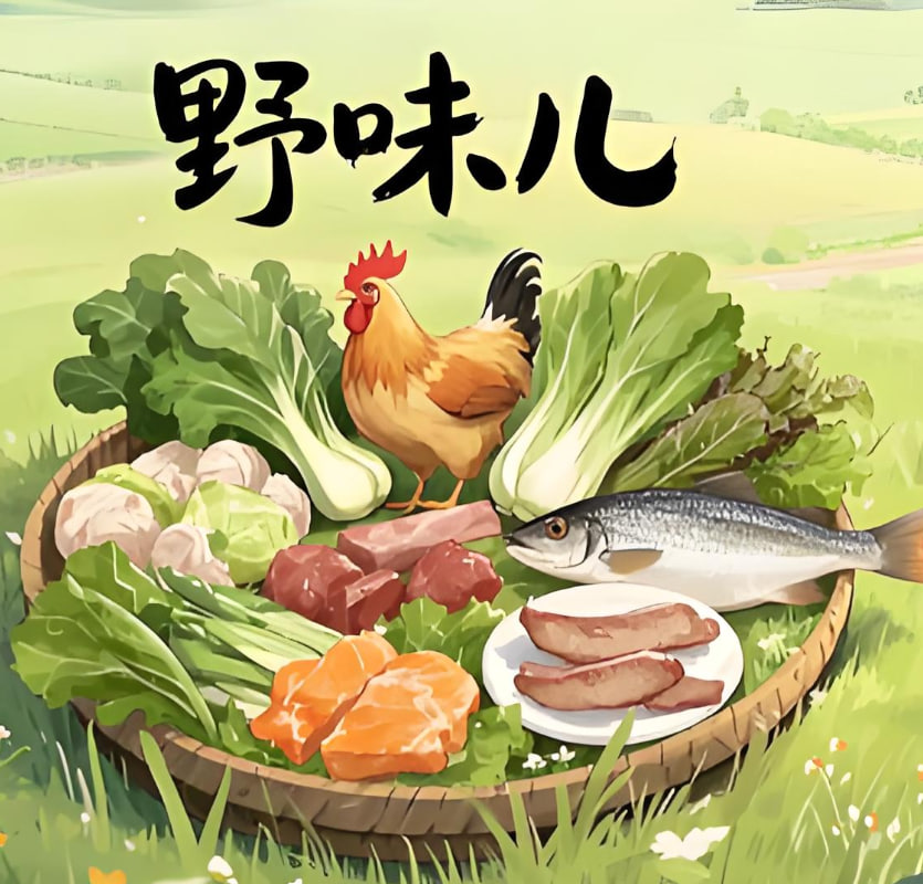 野味儿迅雷下载