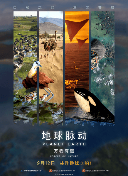 地球脉动:万物有道迅雷下载