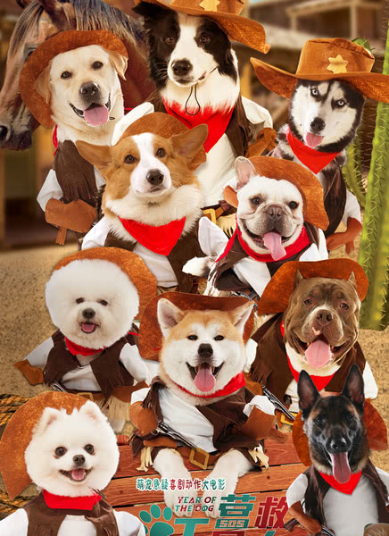 Ӫ��������ȫ��