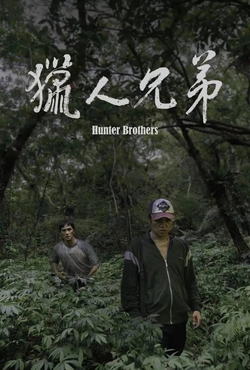 �����ֵ�Ѹ������