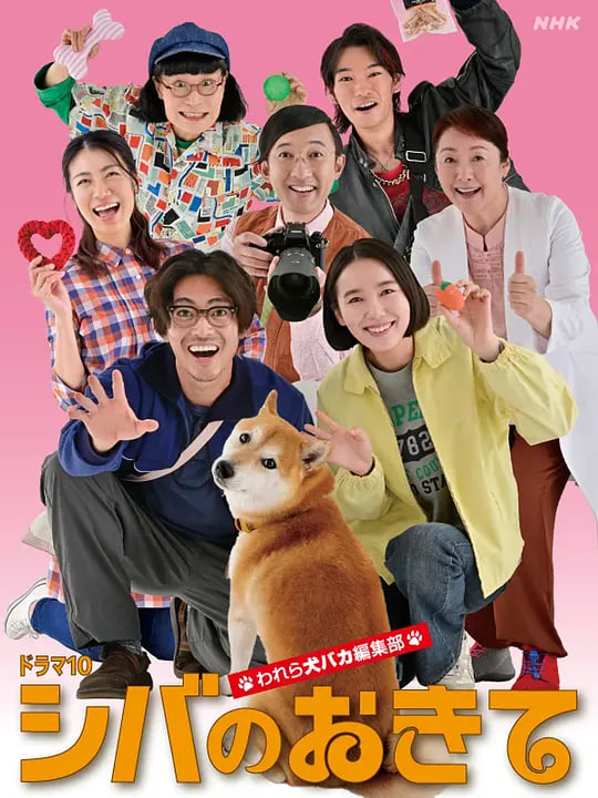 ��Ȯ�Ĺ��~������Ⱥ���ձ༭��