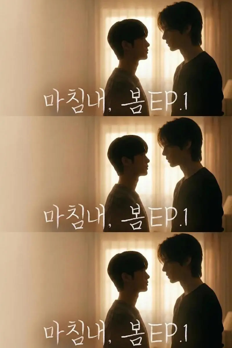 迟来的春天迅雷下载