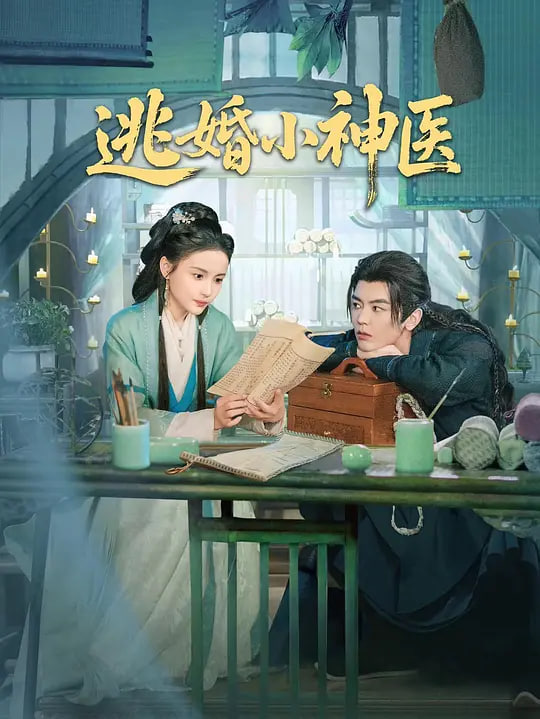 逃婚小神医迅雷下载