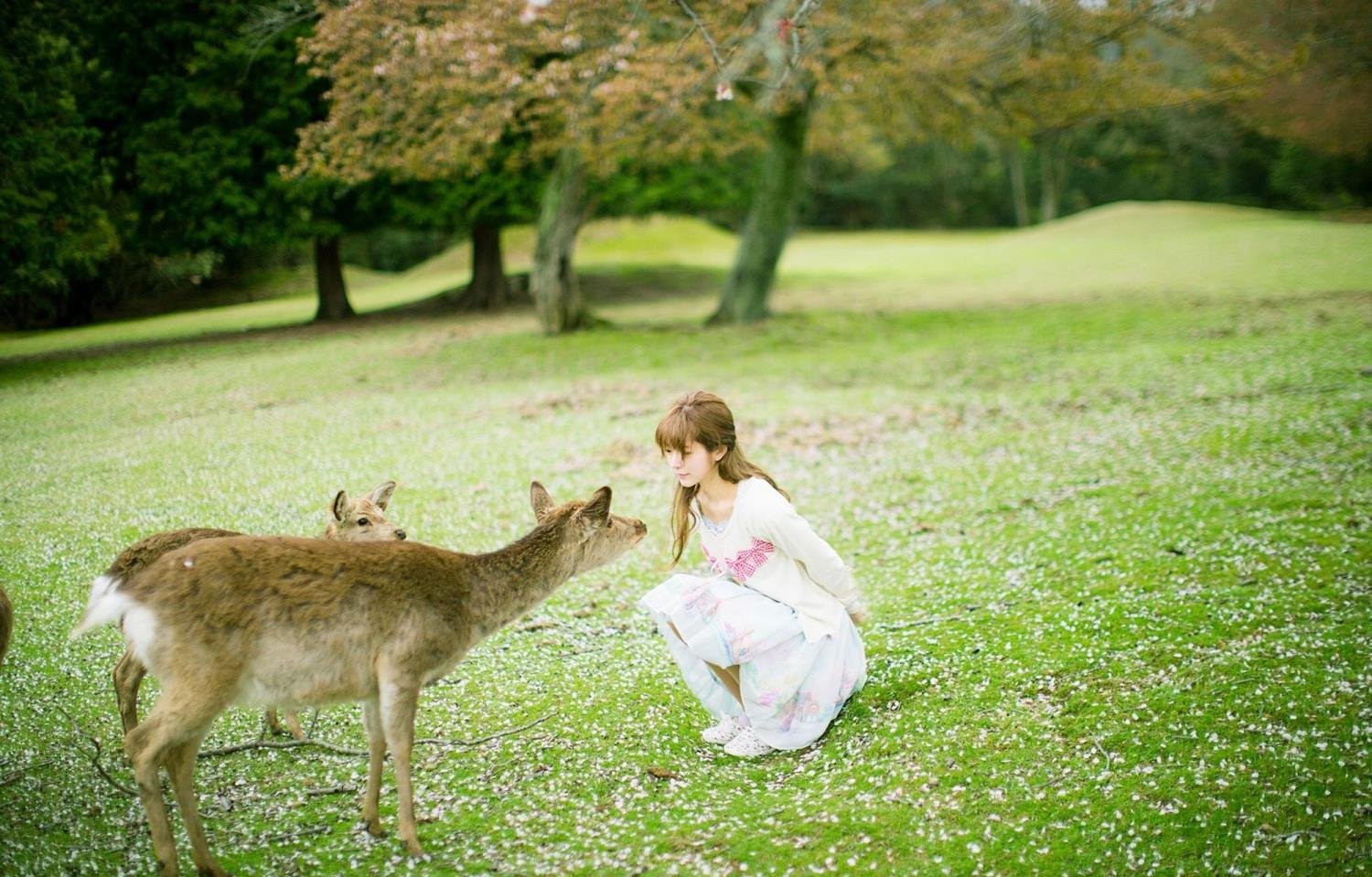 WRITE.AS ������ʦѸ������