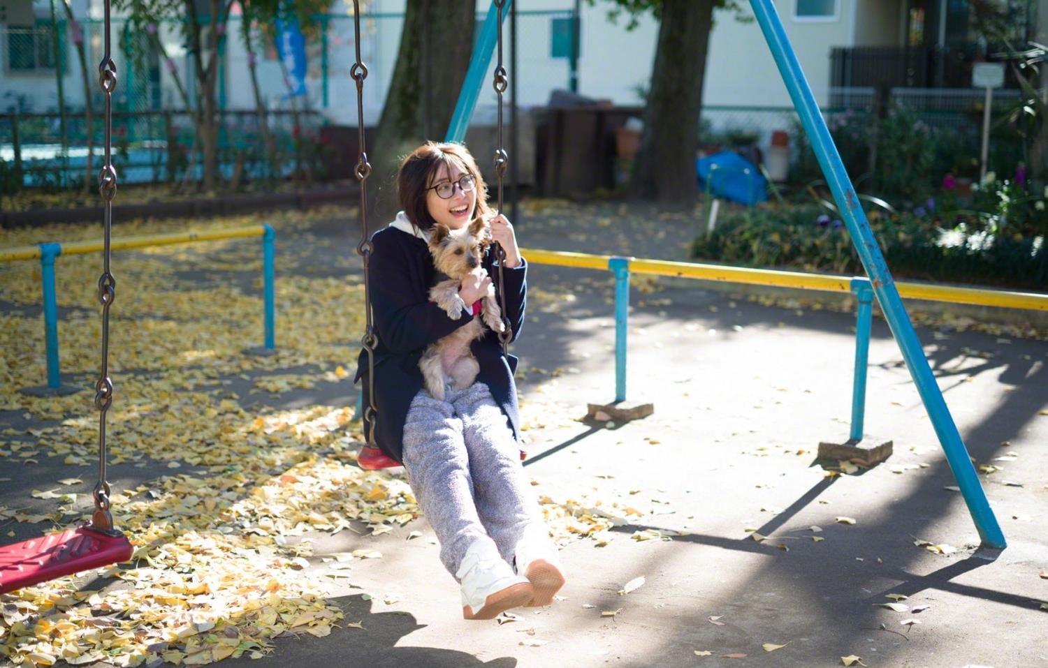 ��ޱ���ڽ�Ѹ������