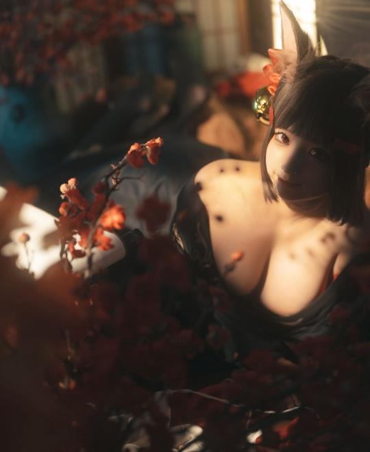 ɫ��ɫ��ַ��ȫѸ������