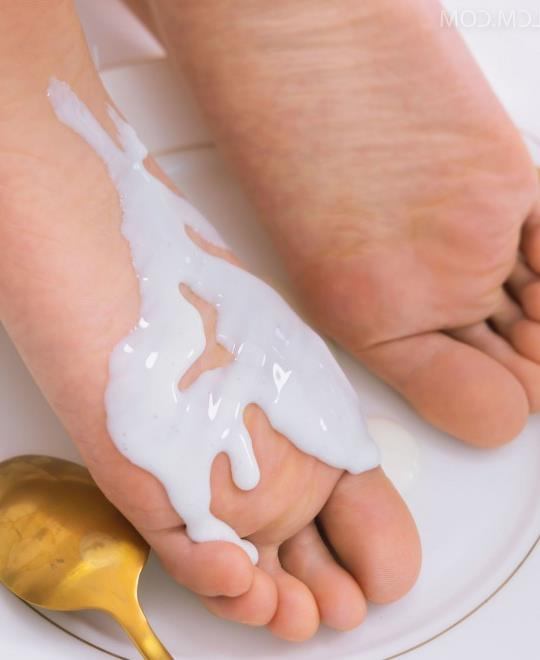 17CM����Ů������˵����Ѹ������